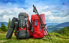 Top Must-Have Camping Gear for Outdoor Enthusiasts in NYC