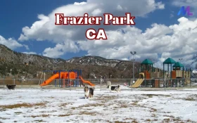 Frazier Park, CA Real Estate & Homes For Sale | Mountain Living Near LA