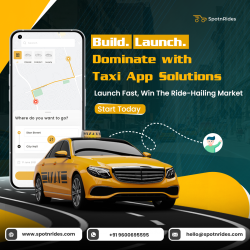 Start Your Taxi Business Now and Scale With AI Innovation