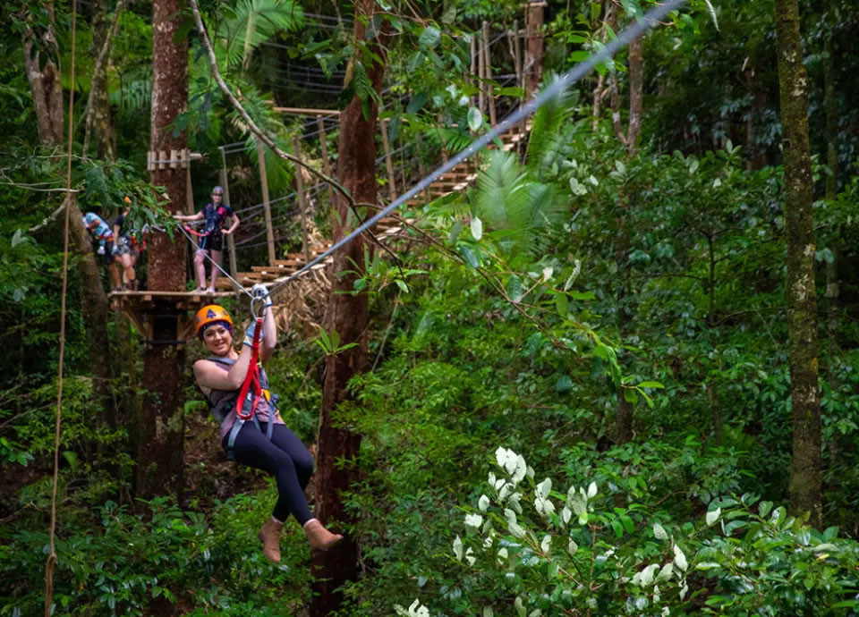 Things to Do in Port Douglas: A Tropical Gateway to Reef and Rainforest