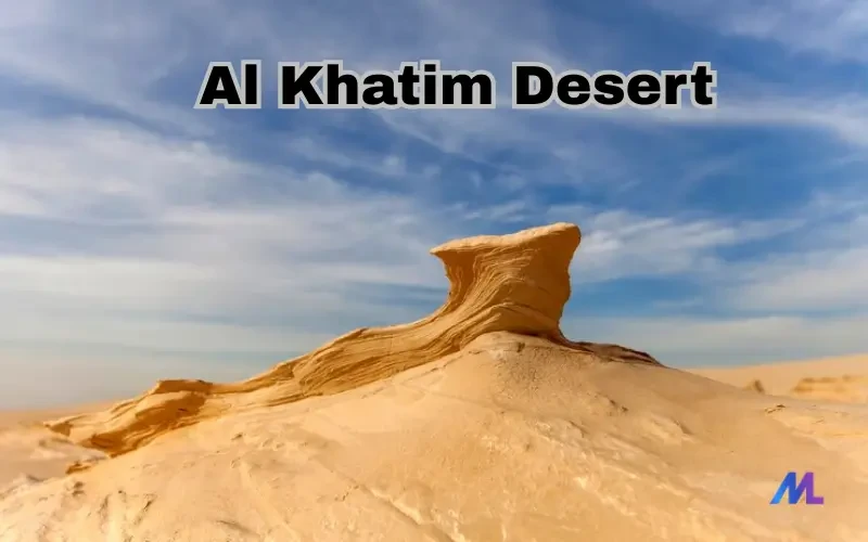 Adventure Activities in Al Khatim Desert: Dune Bashing and Beyond