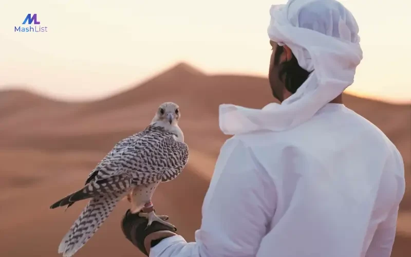 Top Bird Supplies in the UAE for Every Bird Lover